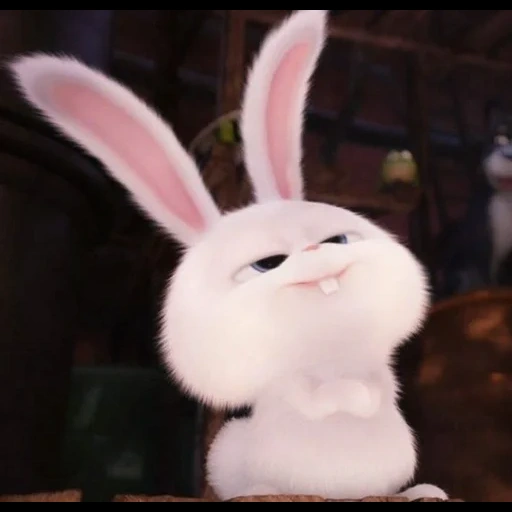 bola de neve de coelho, vida secreta do coelho, rabbit secret life of pets, little life of pets rabbit, última vida de animais de estimação rabbit snowball