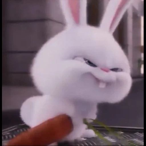 bunny malvagio, snowball di coniglio, coniglio allegro, ultima vita di coniglio di casa, little life of pets rabbit