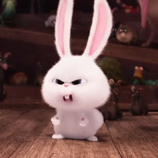 lapin en colère, boule de neige de lapin, le lapin est drôle, esthétique du lapin noir, petite vie des animaux de compagnie lapin