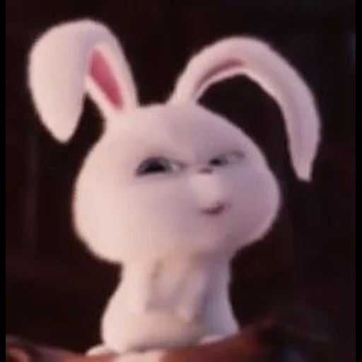 snowball di coniglio, piccolo vita degli animali domestici bunny, little life of pets rabbit, ultima vita di animali domestici snowball, la vita segreta di pets rabbit è la neve