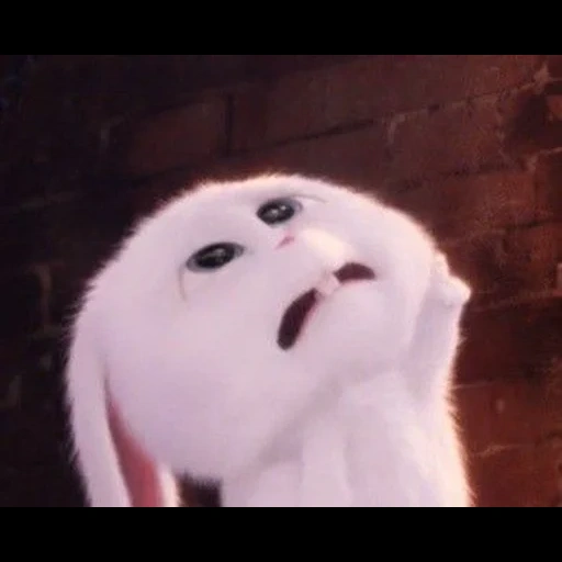kelinci yang terhormat, hewan hewan itu lucu, kartun bola salju, kelinci adalah gambar yang lucu, rabbit snowball menangis