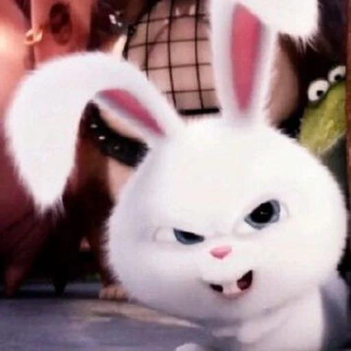 snowball di coniglio, ultima vita di coniglio di casa, il malvagio coniglio della vita segreta dei cartoni animati, ultima vita di animali domestici snowball, rabbit snowball last life of pets 1