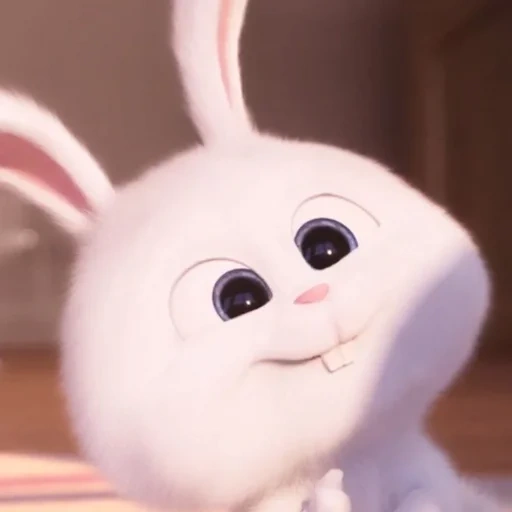lapin, lapin en colère, boule de neige de lapin, le lapin est drôle, vie secrète des animaux de compagnie hare snowball