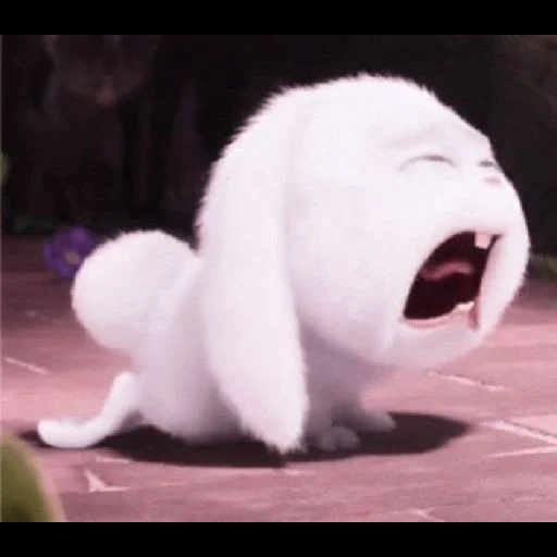 rabbit snowball, rabbit snowball cries, little life of pets rabbit, rabbit secret life of pets honey honey, rabbit snowball last life of pets 1