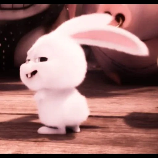 snowball di coniglio, la vita segreta degli animali domestici, pets life rabbit, little life of pets rabbit, ultima vita di animali domestici snowball