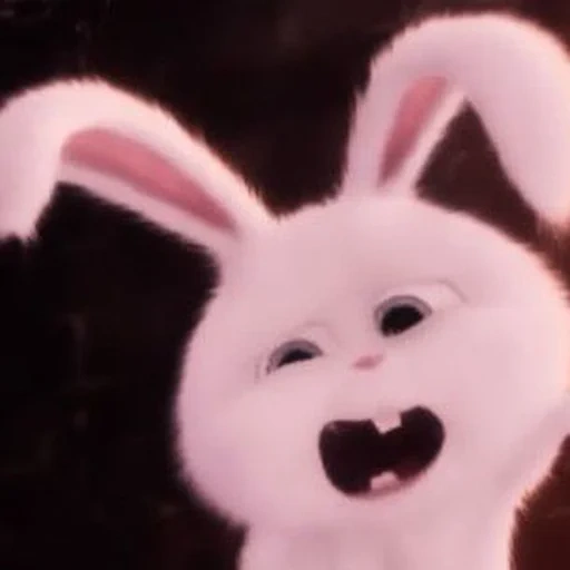conejo, conejo de bola de nieve, última vida del conejo casero, vida secreta de mascotas liebre bola de nieve, última vida de mascotas conejo de nieve de conejo