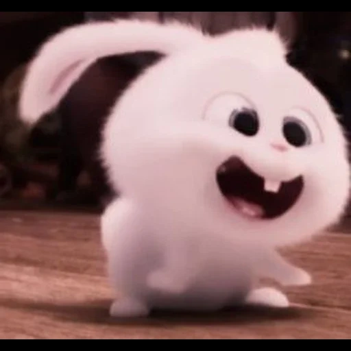 rabbit snowball, rabbit secret life, rabbit snowball dress, rabbit snowflow secret life, little life of pets rabbit