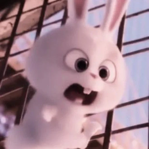 evil bunny, rabbit snowball, cartoon rabbit, rabbit snowflow secret life, the secret life of pets