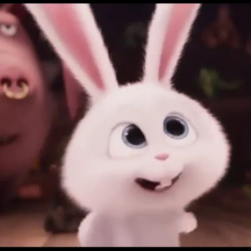 bola de nieve de conejo, cartoon rabbit secret life, pequeña vida de mascotas conejo, conejo snowball secret life of home 2, cartoon rabbit secret life of pets