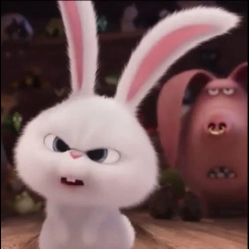 rabbit irritado, bola de neve de coelho, vida secreta do coelho, last life of pets de ball de snow, little life of pets rabbit