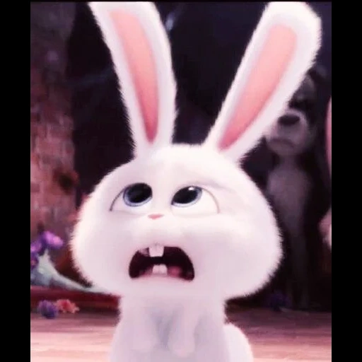 rabbit snowball, hare of cartoon secret life, the secret life of pets hare, little life of pets rabbit, secret life of pets hare snowball