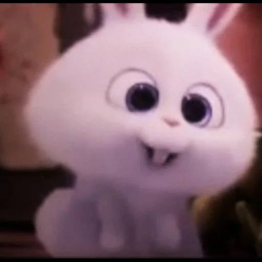 bola de nieve de conejo, conejo blanco de la caricatura, vida secreta de flujo de nieve con conejo, pequeña vida de mascotas conejo, última vida de mascotas bola de nieve
