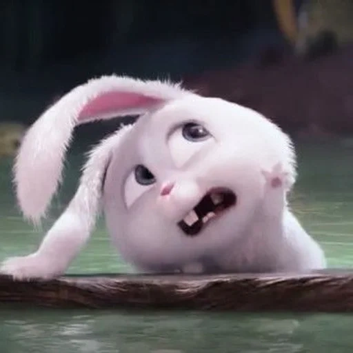cartoni animati, snowball di coniglio, the walt disney company, la vita segreta degli animali domestici, little life of pets rabbit
