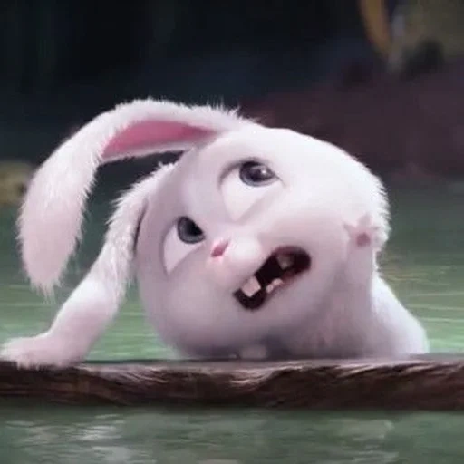 desenhos animados, bola de neve de coelho, a walt disney company, a vida secreta dos animais de estimação, little life of pets rabbit