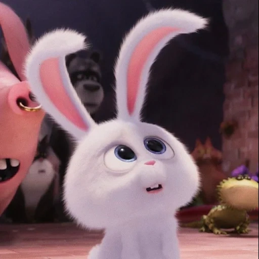 kaninchen schneeball, hase des cartoon secret life, cartoon kaninchen geheimes leben, kleines leben von haustieren kaninchen, das geheime leben der haustiere ist ein böser kaninchen
