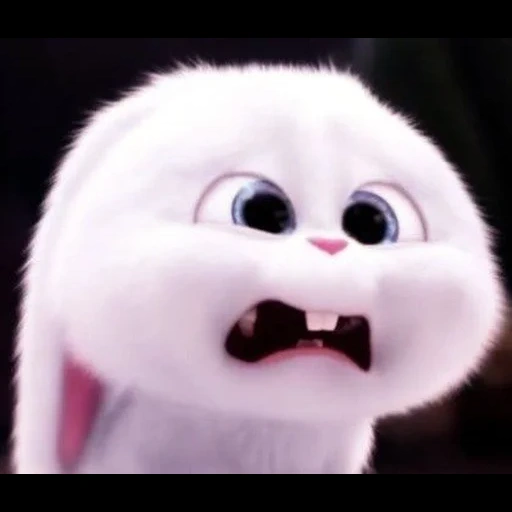 boule de neige de lapin, rabbit cartoon snowball, vie secrète des animaux de compagnie 2 boule de neige, dernière vie des animaux de compagnie rabbit snowball, secret life of pets 2 rabbit snowball