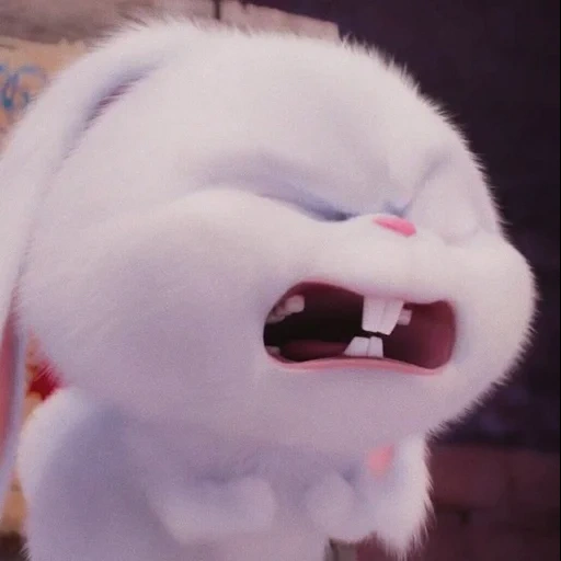 bola de nieve de conejo, vida secreta del conejo, la vida secreta de las mascotas liebre, última vida de mascotas conejo de nieve de conejo, bola de nieve de conejo la última vida de las mascotas 1