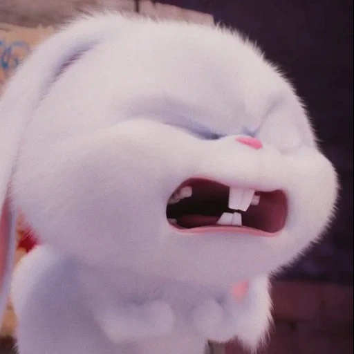 snowball di coniglio, vita segreta del coniglio, la vita segreta degli animali domestici hare, ultima vita di animali domestici snowball, rabbit snowball last life of pets 1