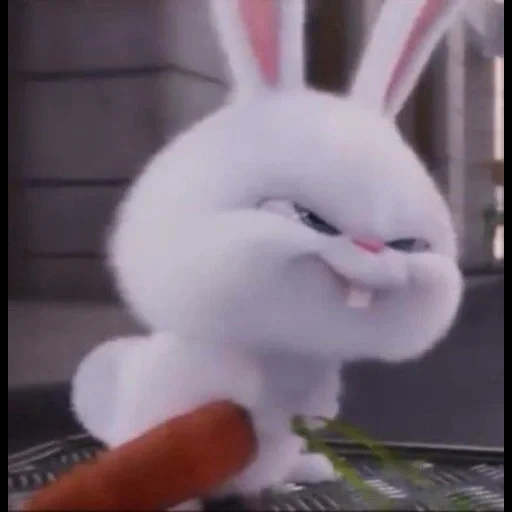 conejito malvado, conejo alegre, liebre malvada con zanahorias, pequeña vida de mascotas conejo, vida secreta de mascotas liebre bola de nieve