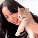 asiático, gente, coreano, sosteniendo un gato, chicas coreanas