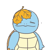 pokemon, skvettel meme, squitter pokemon, pokemon pattern, pokemon with turtle back