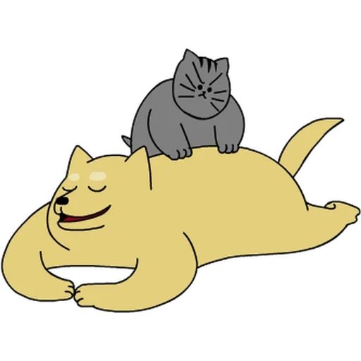 кот, cat, толстый кот, грустный толстый котик