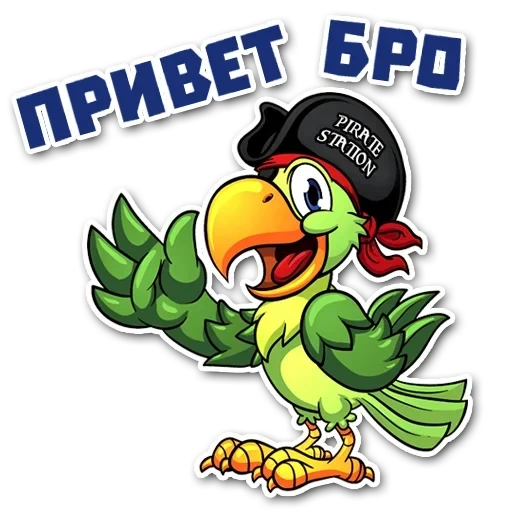 pirate parrot, попугай пират, пиратский попугай