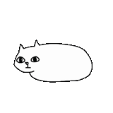 kucing, pushin si kucing, segel beech, kucing hitam dan putih, mewarnai minimalis di milotta