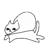 cat, kucing, pewarnaan kucing, kucing berwarna-warni, sketsa sederhana kucing