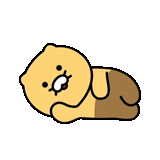 춘식이는 집순이 By @KakaoEmoticon