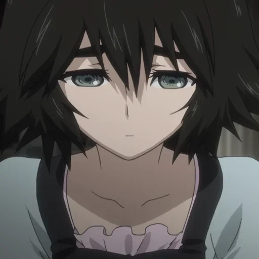 porte stein, steins porte 0, steins gate elite, mayushi gates stein, gate stein 0 mayuri