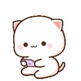 chat, sohbet, attelle, chat de mitau, animation du chat mochi mochi pêche