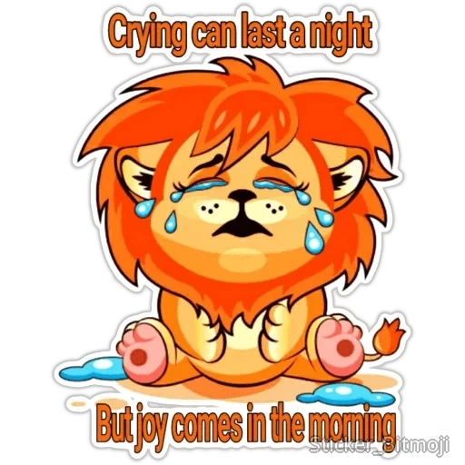 lion, lion lion cub, the lion cub cries, crying lion cub