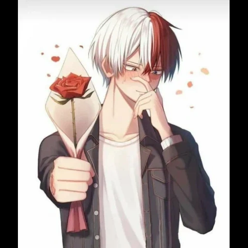 todoroki, fudoromukun, videira na árvore anfitriã, animação de madeira de pêssego leste, menino de anime todoroki