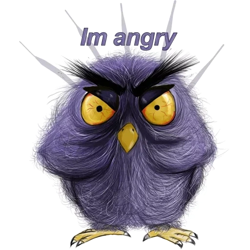 owl, humor, joke, funny bird, sleep of weaknesses owl