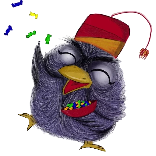 birds, joke, boom bird, owl comical world, shararam sticker 1 year