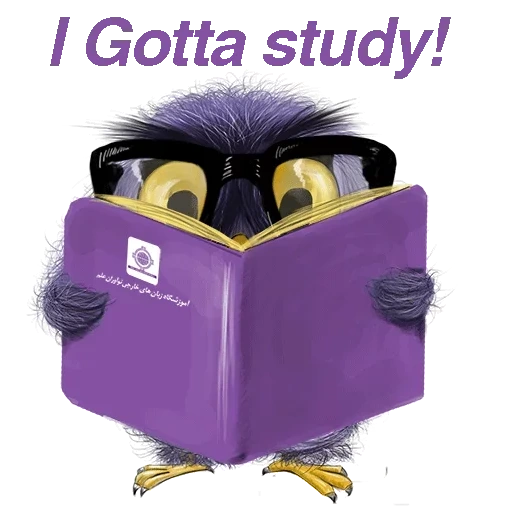 owl, notebook, owl betsy, the symbol of the school, plush crow