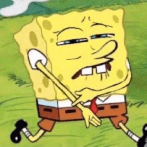 meme spongebob, das netz der schwammbohnen, spongebob spongebob, spongebob square, spongebob square hose