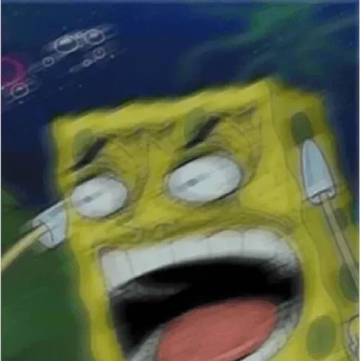 meme spongebob, meme spongebob, spongebob face, spongebob meme, spongebob square hose