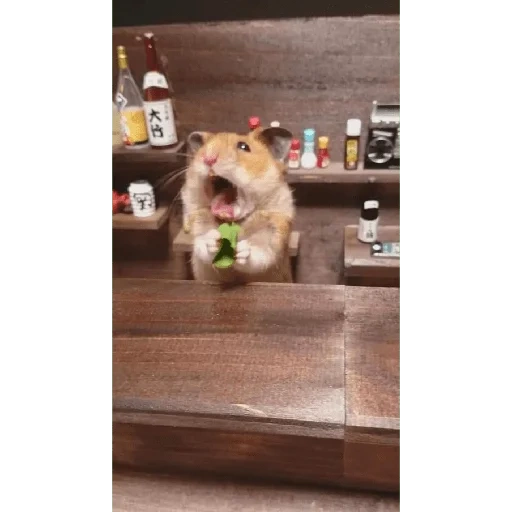 hamster, hamster, vinho de hamster, hamster ridículo, hamster divertido