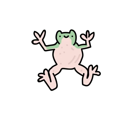 a frog, katak, kodok hijau, kodok katak, garis tunggal katak