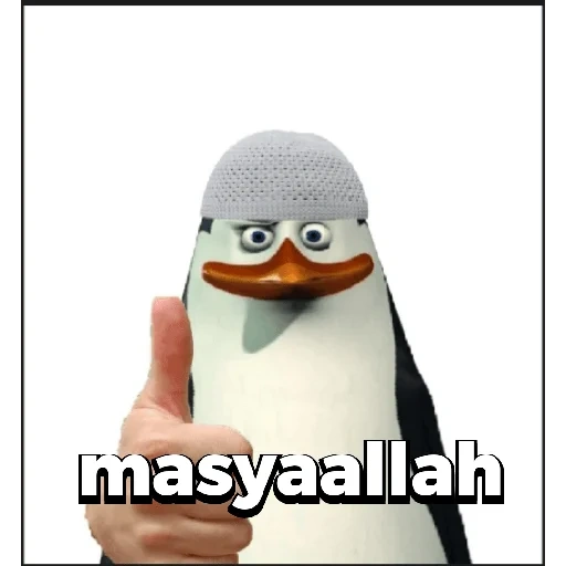 scherzo, meme con un pinguino, penguins madagascar skiper, penguins madagascar kovalski, penguins madagascar kovalsky