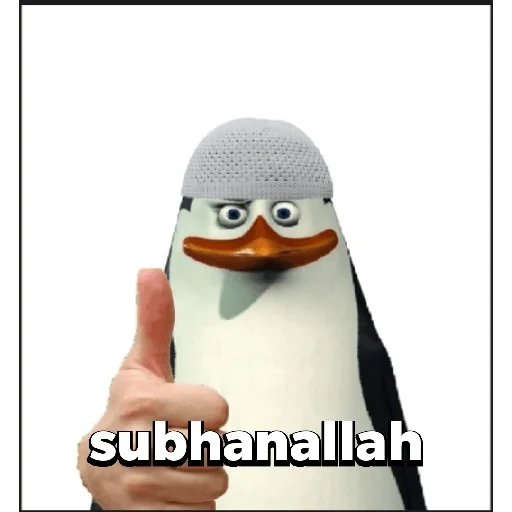 meme mit einem pinguin, penguine madagaskar, penguine madagaskar skiper, penguine madagaskar kovalski, penguine madagaskar kovalsky