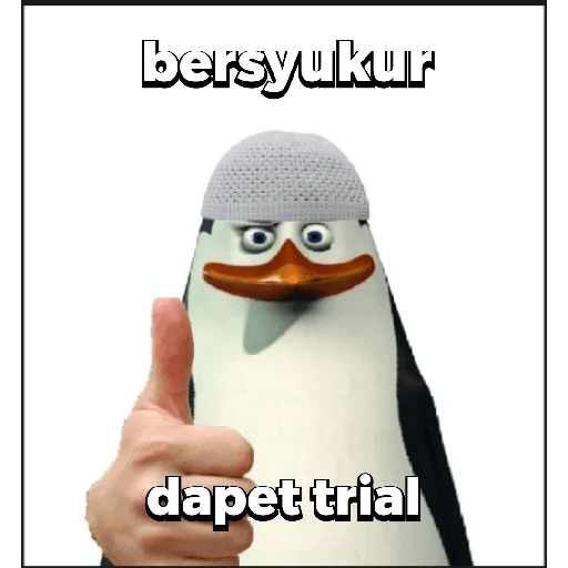 pinguin, mensch, meme mit einem pinguin, penguine madagaskar skiper, penguine madagaskar kovalski
