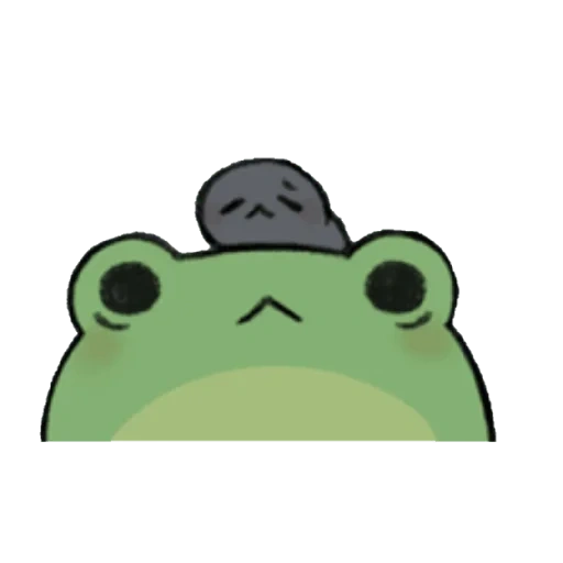 frog, kawai frog, expression frog, rana chuanensis, cute frog pattern