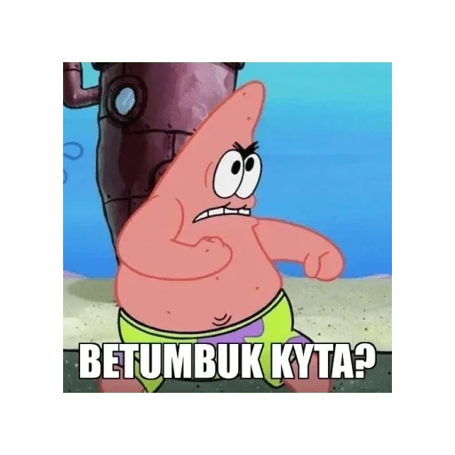 patrick, patrick, patrick si bintang, patrick yang lucu, patrick sponge bob