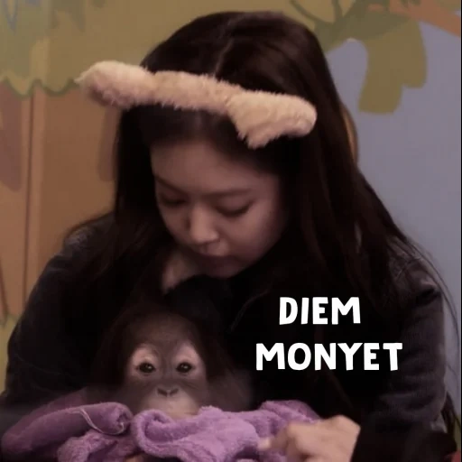 chimpancés, un mono, el mono es inteligente, monos caseros, pequeño mono