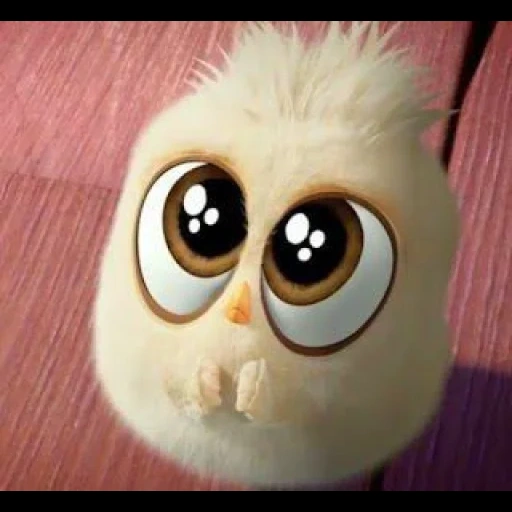 angry birds, engry berdz 2 chicks, angry birds hatchlings, angry birds of fluffs, averse birds of fluffy cute eyes