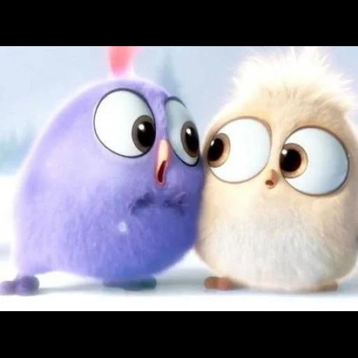 angry birds, you believe a miracle, cartoon chick, angry birds cinema, angry birds chicks