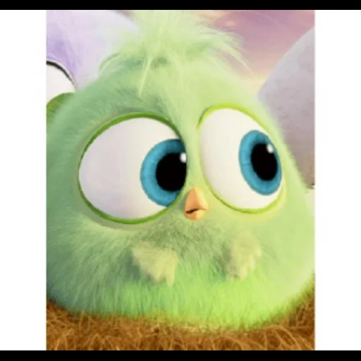 angry birds, film angry birds, engri bird 2 poussins, angry birds chicken, engri oiseau vert poussin